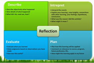 diep reflection reflective journal mooting according able written personal experience learn create